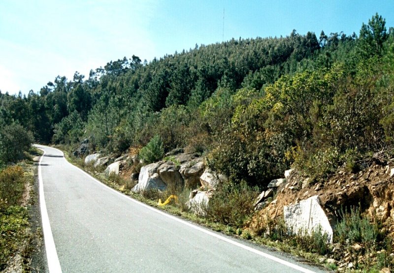 MONCHIQUE, 28.01.2003, auf dem Picota, dem mit 744 m zweithöchsten Berg der Serra de Monchique -- Foto eingescannt