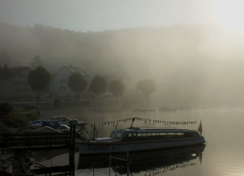 Morgendlicher Nebel in Le Pont.
(August 2009)