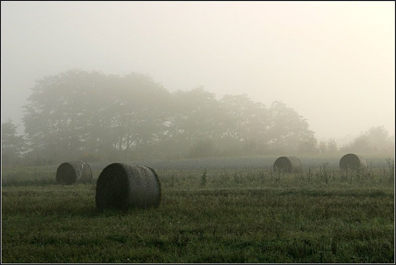 Morgennebel im Remstal. 

11.10.2008 (M)