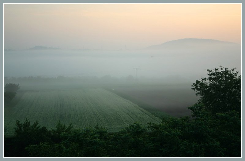 Morgennebel im Tal, 

06.06.2007 (M)