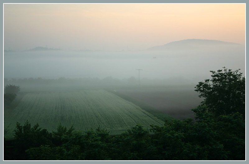 Morgennebel im Tal, 

06.06.2007 (M)