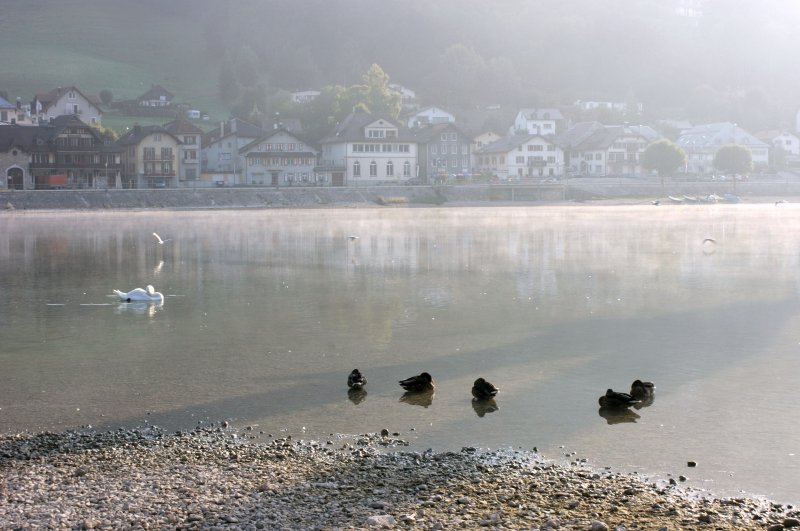 Morgenruhe an einem Sommertag im August in Le Pont.
(August 2009)