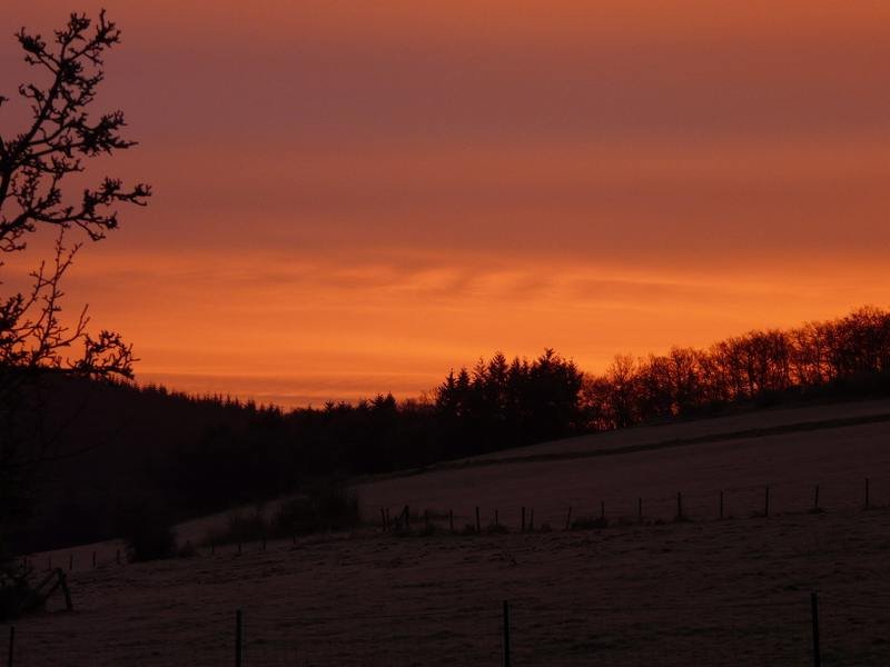 Morgenstund' hat Gold im Mund, oder besser gesagt am Himmel. Bild aufgenommen in Erpeldange/Wiltz (Luxemburg) am 23.01.08 gegen 08.20 Uhr.