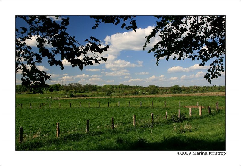 Mlheim an der Ruhr - Blick ber die Ruhrwiesen am Kolkerhofweg/Schwiesenkamp Richtung Duisburg.