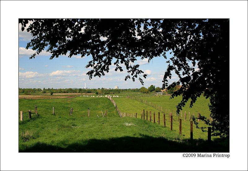 Mlheim an der Ruhr - Blick ber die Ruhrwiesen am Kolkerhofweg/Schwiesenkamp Richtung Oberhausen.