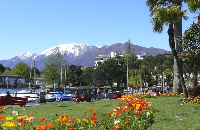 Muralto - Blick ber die Uferpromenade am 07.04.2008