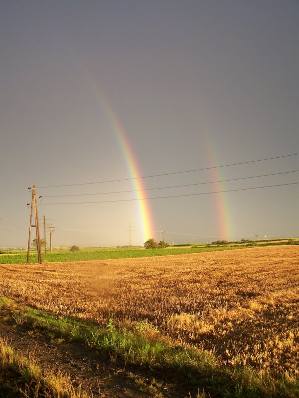 Nach dem Regen im Baden-Wrttemberg. Aufgenommen am 23.Juli 2007
(Vorort von Stuttgart)