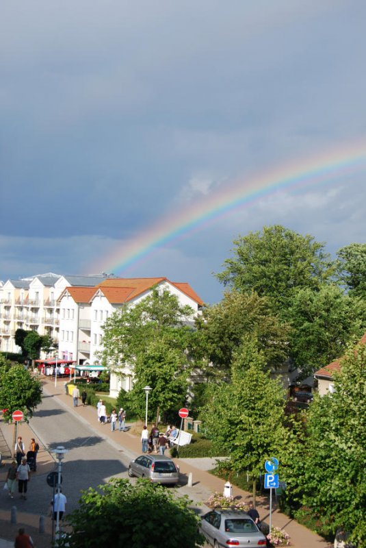 Nach einem Regenguss in Bansin, 09.07.08