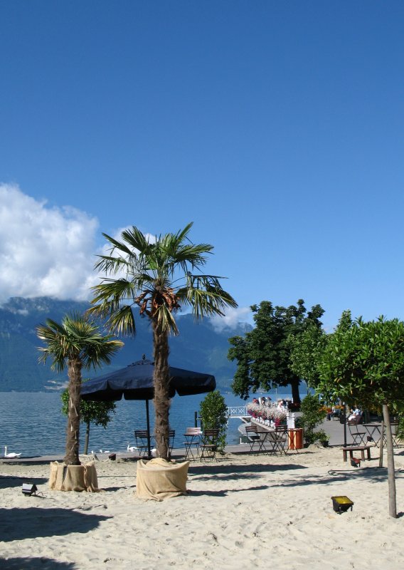 Nach Paris Plage gibt es nun auch Vevey Plage.
(Juli 2008)