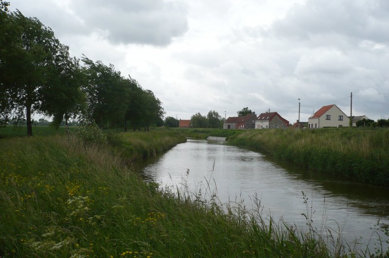 Nahe der westflmischen Ortschaft Jabbeke und auch unweit der Nordseestadt Oostende, entstand am 27.05.09 bei Wind und Nieselregen, diese Aufnahme.