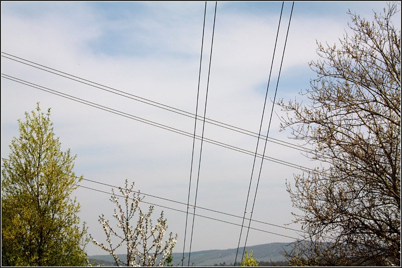 Natur und Technik -

Die Formen der im Kontrast zur Gradlinigkeit der Technik. Hochspannungsleitungen bei Vaihingen (Enz). 

12.04.2009 (M)