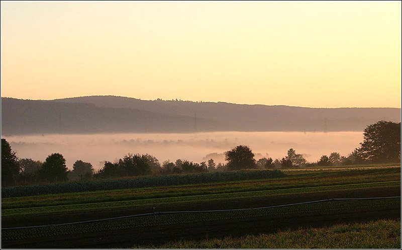 Nebel liegt im Remstal am 30. September 2005 (Matthias)
