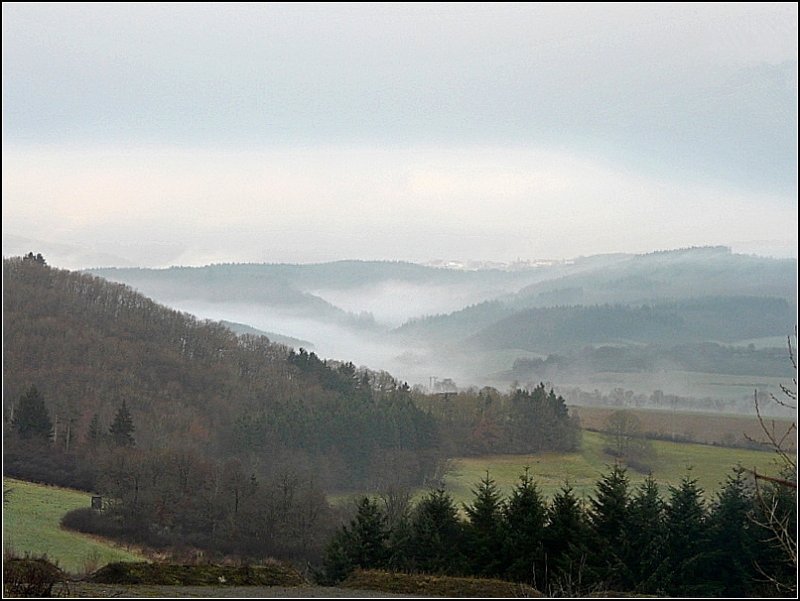 Nebelige Winterlandschaft aufgenommen in der Nhe von Wiltz am 18.12.08. (Jeanny)