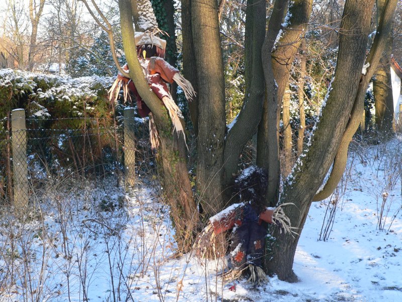 Nervensache: Nur Mutige trauen sich an diesen von Halloween brig gebliebenen Puppen vorbei. Berlin Karlshorst, nahe dem Hegemeisterweg. 2.1.2009