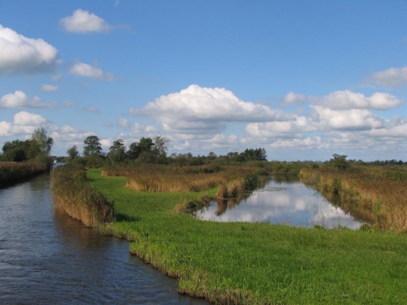 Niederungsmoorgebiet  Alde Feanen  bei Earnewld (Provinsje Frysln) am 5-10-2007.