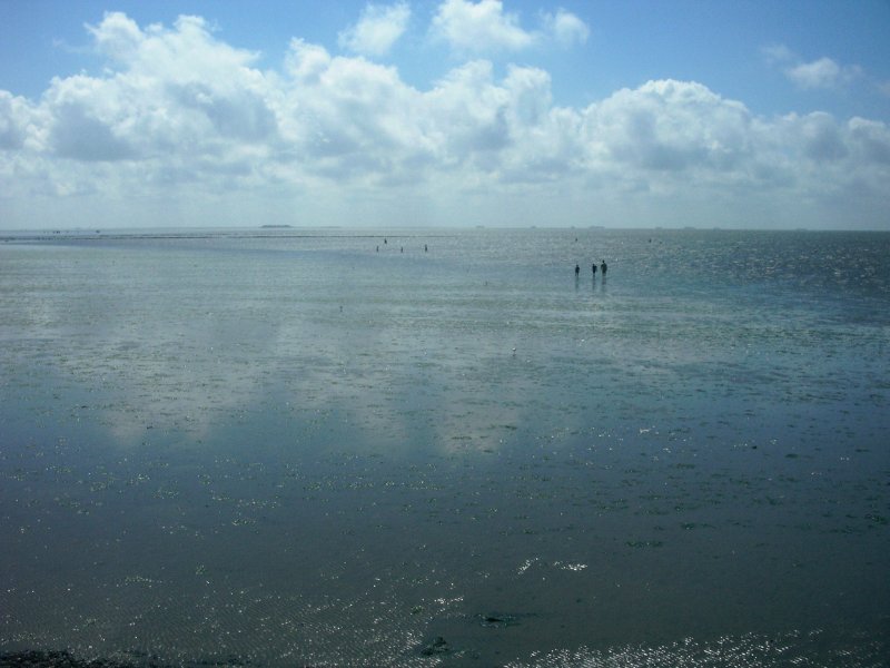 Nordsee bei Ebbe, Foto von der Insel Fhr 2003