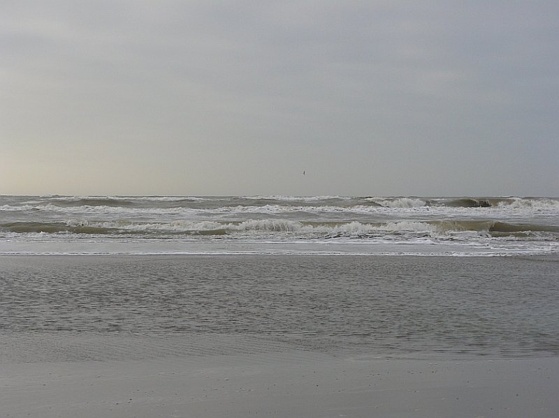 Nordsee bei Noordwijk (Niederlande) 27-01-2008.