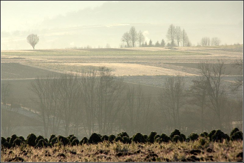 Novemberstimmung - 

Zwischen Kernen-Rommelshausen und Weinstadt-Endersbach.

09.11.2008 (M)