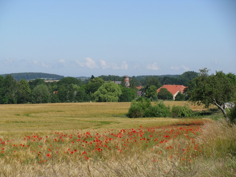 NWM; Blick von der Kreisstrae Jeese - Bernstorf (K 17) zum Schlo Bernstorf, Sommer 2009