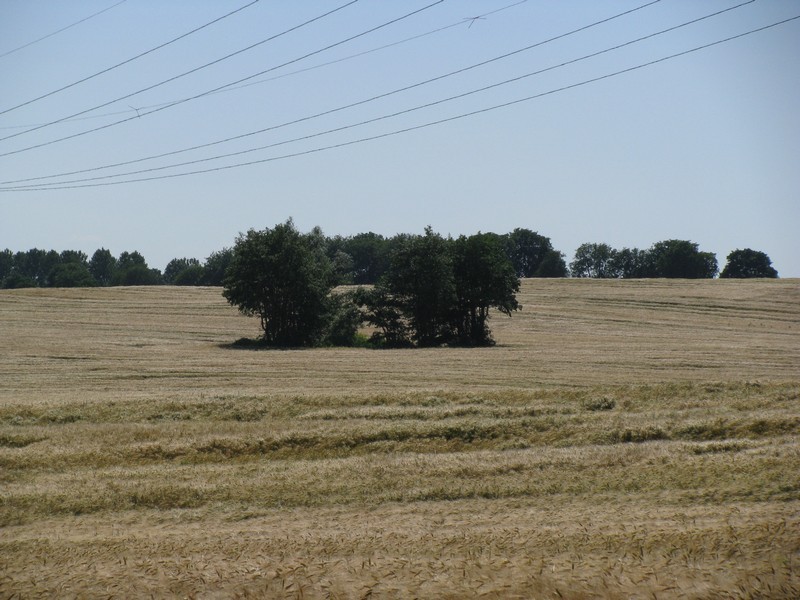NWM, Landschaft am Weg von Warnow nach Santow, Sommer 2009