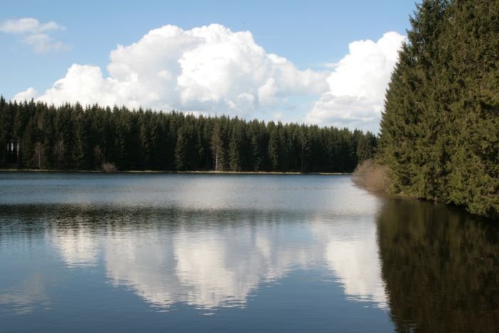 Oberharzer Wasserregal - Um fr die trockenen Jahreszeiten unendliche Wasserreserven zu haben, wurden ber 500 Kunstteiche gebaut. Das oberste Gestz lautete,  Erst das flieende Wasser gebrauchen, dann auf das stehende Wasser zurckgreifen!  Hier im Bild: Nassenwieser Teich bei Clausthal-Zellerfeld.