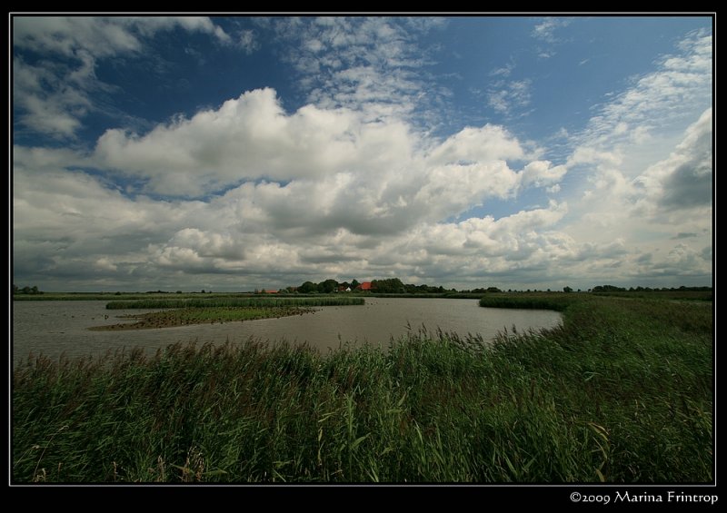 Ostfriesland - Blick ber die Landschaft bei Pilsum 