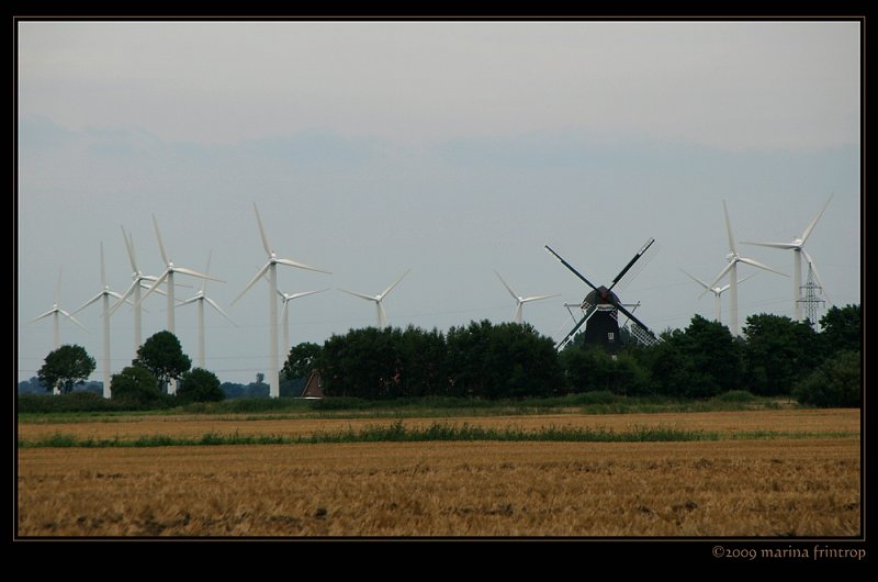 Ostfriesland - Sielmhle von Westerbur und umliegende Windrder