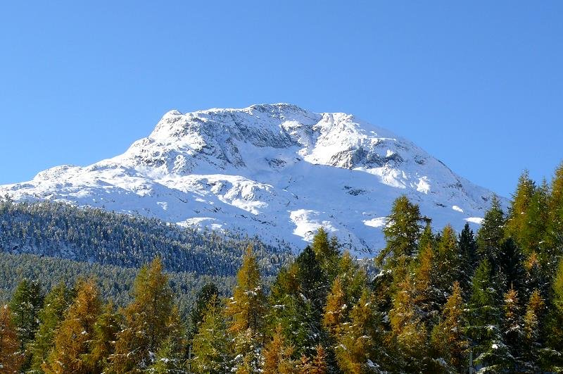 Piz Rosatsch (3123m) von Punt Muragl aus gesehen am 05.10.2008