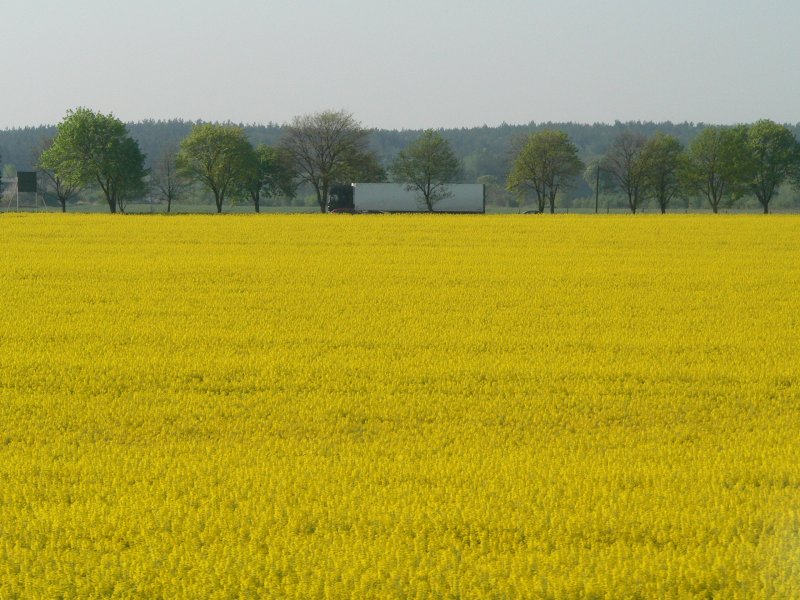 Polnisch-deutscher Gterverkehr auf der Strae (E30) im Zusammenspiel mit der Landschaft. 28.4.2007