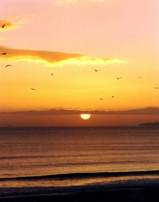 PORTIMÃO, 10.11.1998, Sonnenuntergang in Praia da Rocha -- Foto eingescannt
