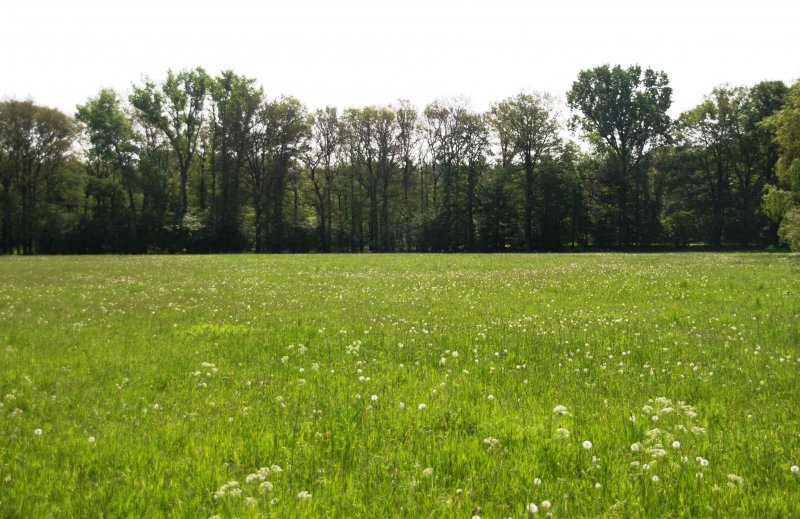 RHEINE, 10.05.2009, an der Ems bei Mesum