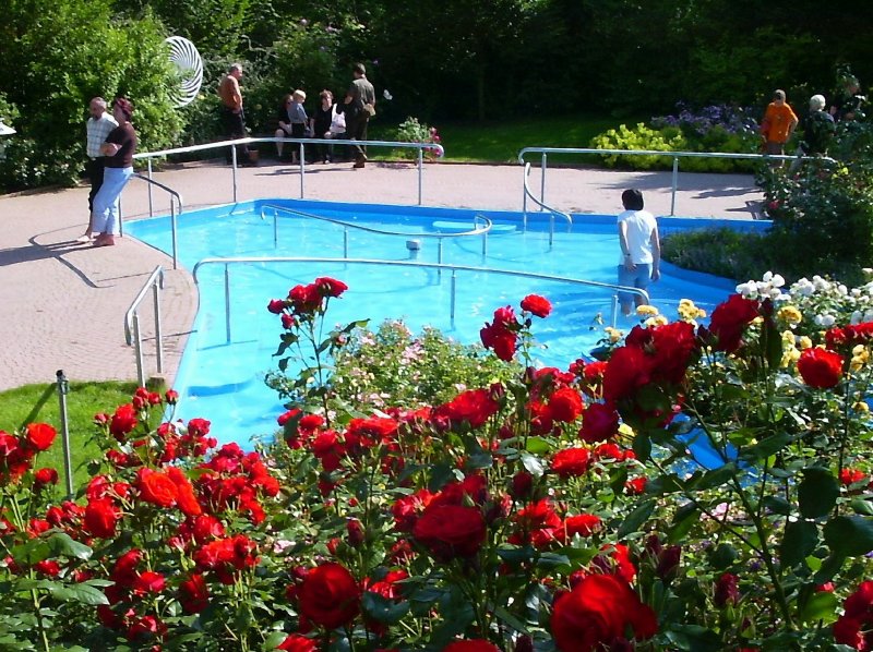 Rosenausstellung Juni 2004 auf der ega Rrfurt