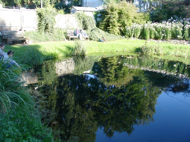 Rostock  im Botanischen Garten 5