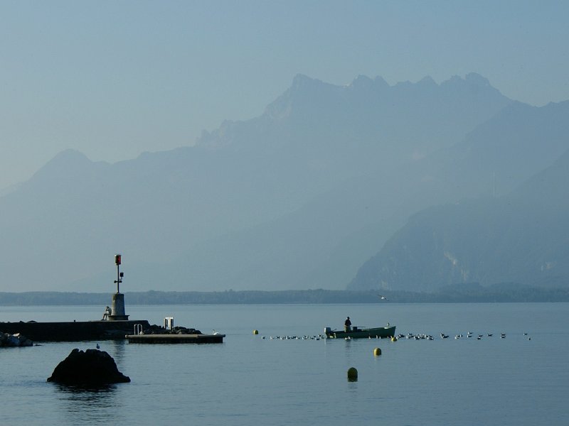 Rckkehr des Fischers mit seinem Fang in den Morgenstunden.
(August 2008)