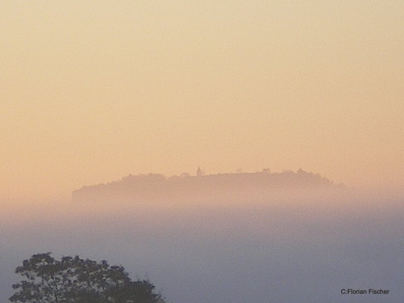 Saffelberg im oder ber dem Nebel 01.11.2007