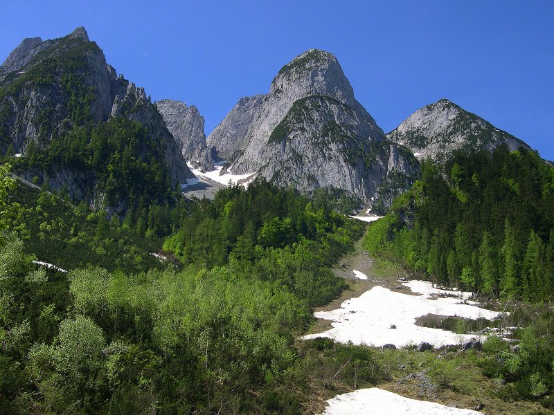 Salzkammergut 2009 - Blick vom Gosuasee in Richtung Gosauwand. Gut zu erkennen sind die Lawinenschneisen. 20.05.2009