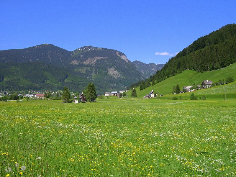 Salzkammergut 2009 - Gosau-Hintertal mit Blick auf den Hoch Kalmberg (1.833m). 20.05.2009