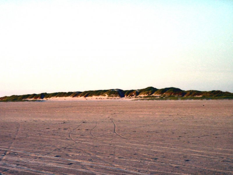 Sand und Dnen am frhen Abend, Sommer 2003 in St. peter-Ording