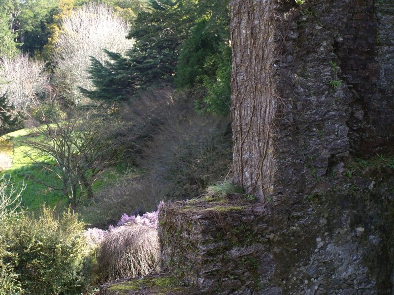 Schatten und Licht an der Mauer der Burgruine.