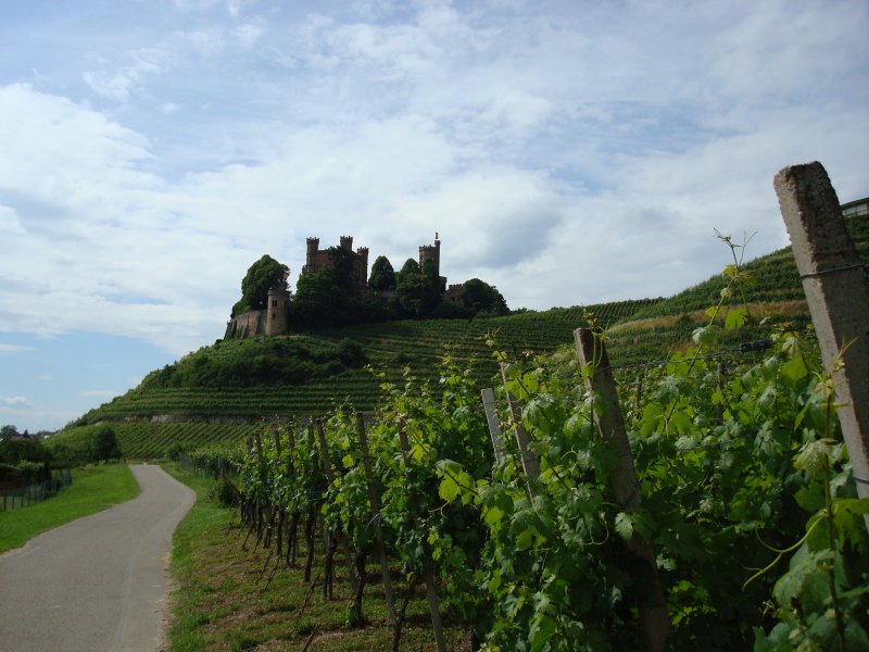 Schlo Ortenberg am Eingang zum Kinzigtal bei Offenburg
