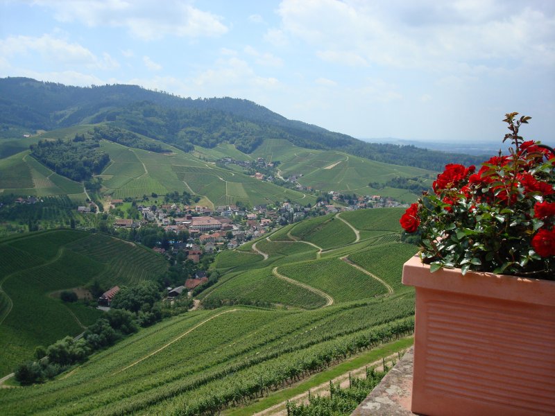 Schloss Staufenberg mit Blick auf den Weinort Durbach/Ortenau
Juni 2008