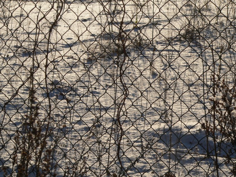 Schneelandschaft hinter Gittern. 2.1.2009