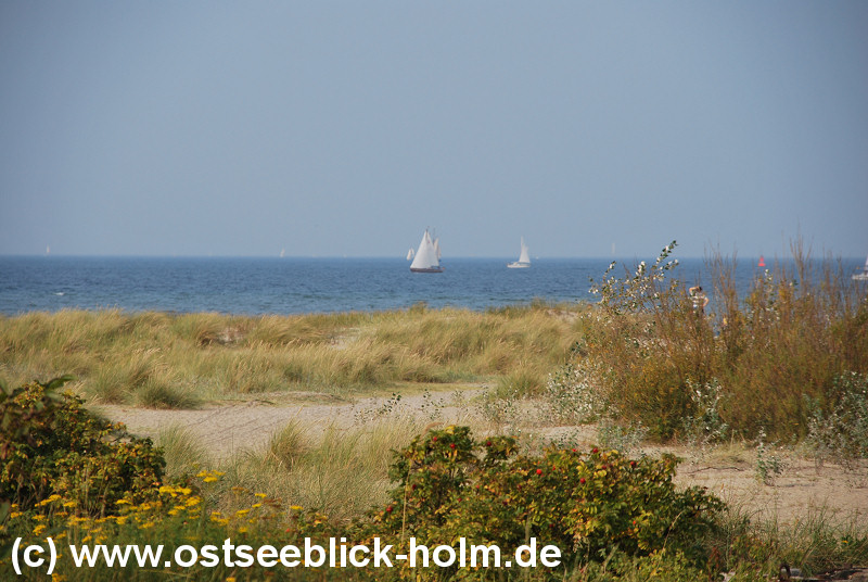 Schnberger Strand - Laboe - Wendtorf
http://www.ostseeblick-holm.de