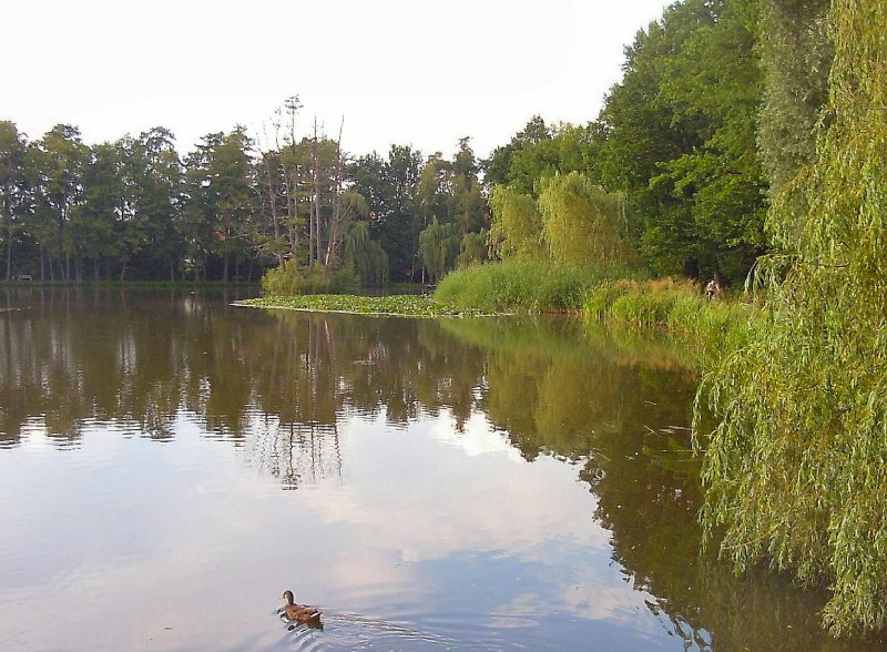 See auf dem Gelnde der Landesgartenschau in Zittau, Sommer 2005