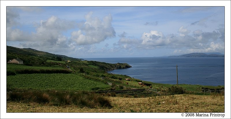 Sheep's Head Way - Kste der Bantry Bay, Irland Co. Cork