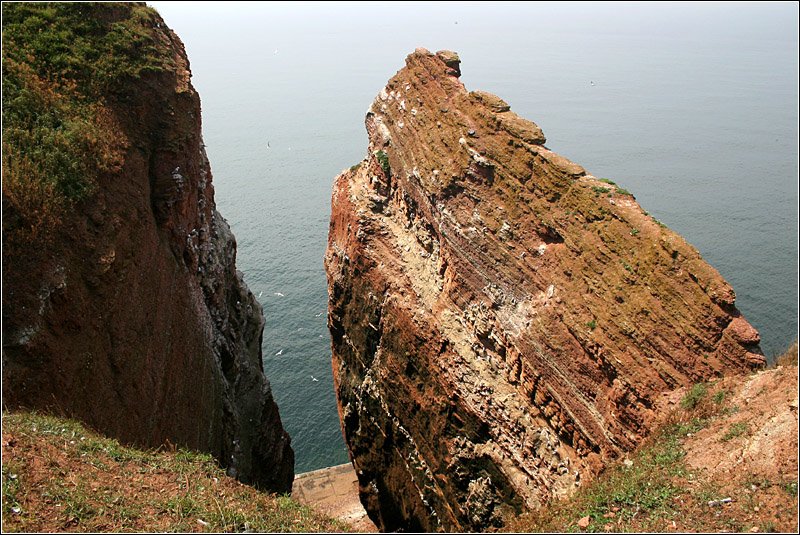 Skitenhörn auf Helgoland. 

16.07.2007 (M)