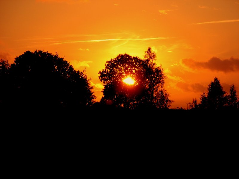 So endete die abendliche Dmmerung am 08.09.2007 ber dem Timmeler Feld in Ostfriesland