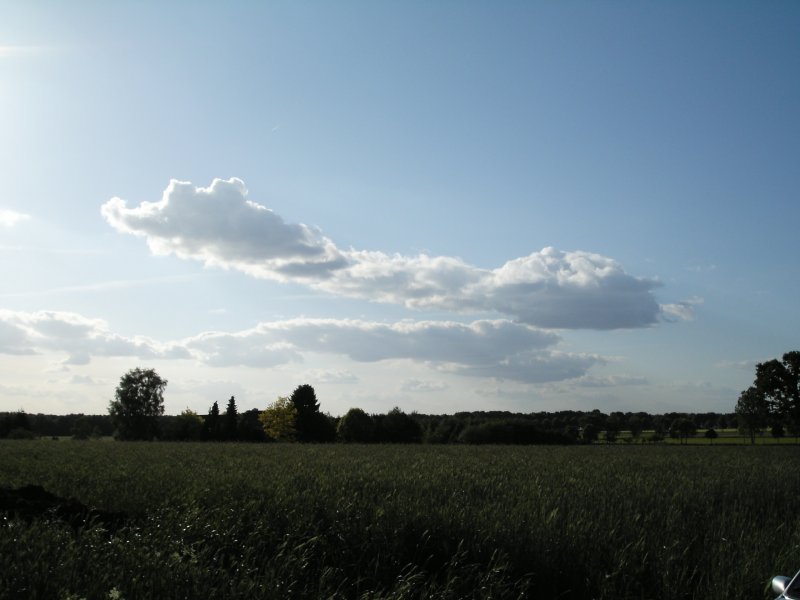 Sommerhimmel bei Olfen im Münsterland.