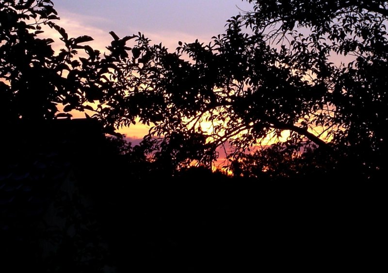 Sonnenuntergang am 28.07.2008 in Pfarrkirchen.