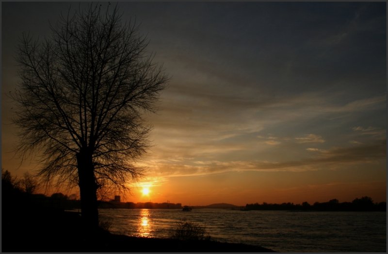 Sonnenuntergang am Rhein in Duisburg
